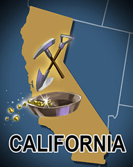 California Badge - Poppit! Bingo