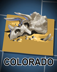 Colorado Badge - Poppit! Bingo