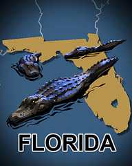 Florida Badge - World Class Solitaire HD