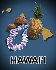 Hawaii Badge - Poppit! Bingo