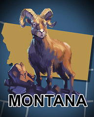 Montana Badge - Aces Up! HD