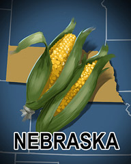 Nebraska Badge - Jet Set Solitaire