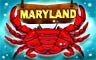 Maryland Badge - Word Search Daily