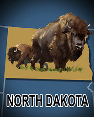 North Dakota Badge - Aces Up! HD