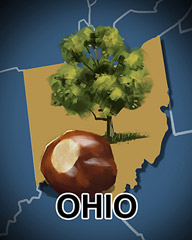 Ohio Badge - Jet Set Solitaire