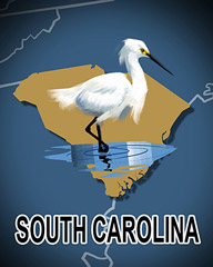 South Carolina Badge - Cookie Connect