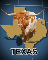 Texas Badge - Phlinx II