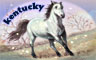 Kentucky Badge - Word Search Daily