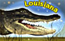 Louisiana Badge - Word Search Daily