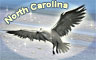 North Carolina Badge - Word Search Daily