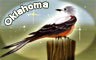Oklahoma Badge - Word Search Daily