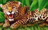 Jaguar Badge - Tri-Peaks Solitaire