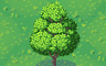 Mature Oak Tree (green) Badge - Solitaire Gardens