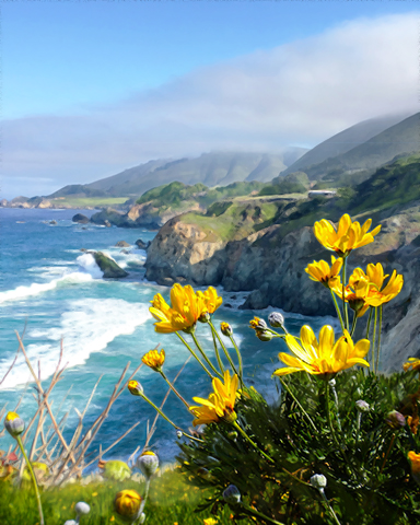 Big Sur Badge - Claire Hart: Secret In The Shadows