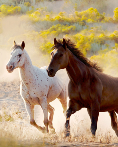 Wild Horses Badge - Claire Hart: Secret In The Shadows