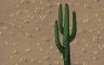 3-Pronged Cactus Badge - Solitaire Gardens