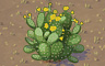 Cactus Bush Badge - Solitaire Gardens