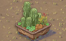 Potted Variety Badge - Solitaire Gardens