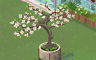 Dogwood Tree Badge - Solitaire Gardens