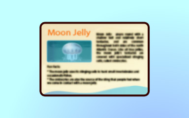 Jellyfish Insider Badge - Quinn's Aquarium