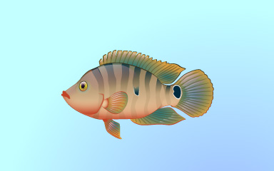 Fishy Friend Badge - Quinn's Aquarium