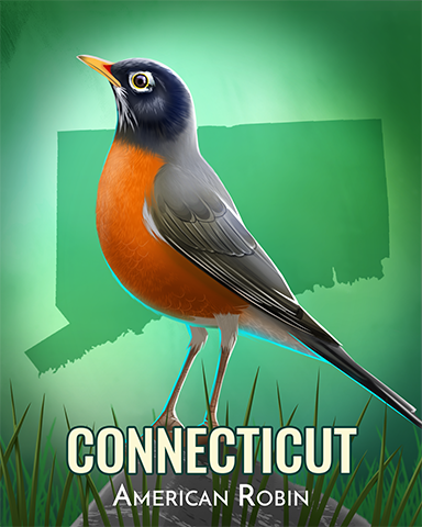 American Robin Badge - Quinn's Aquarium