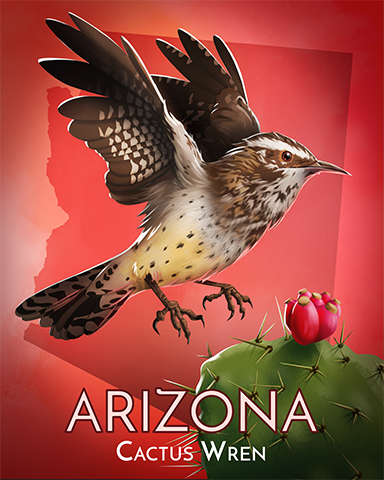 Cactus Wren Badge - Phlinx II