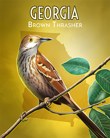 Brown Thrasher Badge - Word Whomp HD