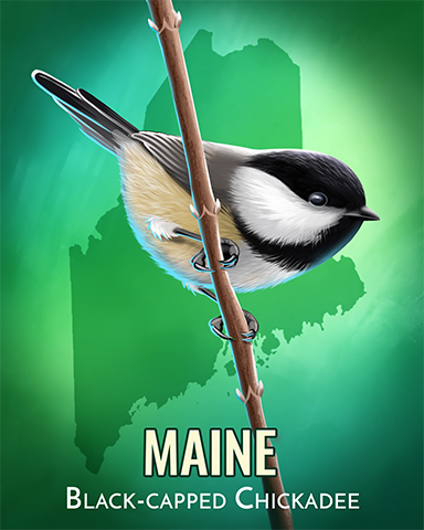 Black-capped Chickadee Badge - A Way With Words