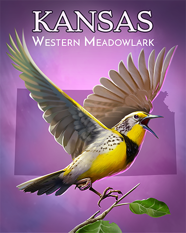 Kansas Western Meadowlark Badge - Jewel Academy