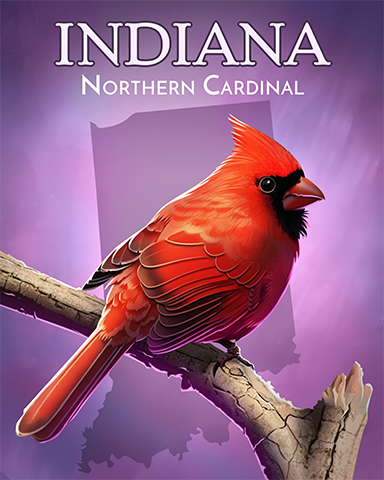 Indiana Northern Cardinal Badge - Word Whomp HD