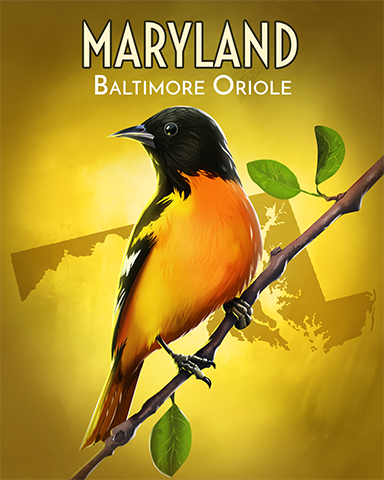 Baltimore Oriole Badge - Claire Hart: Secret In The Shadows