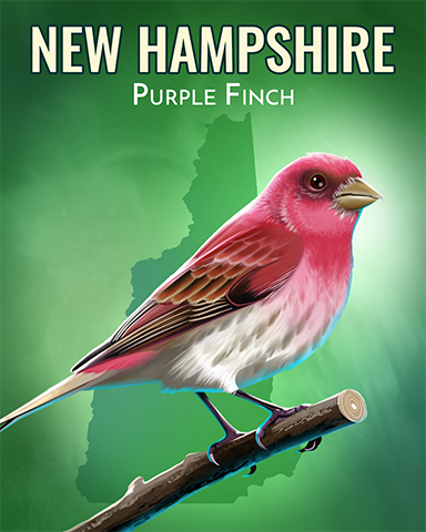 Purple Finch Badge - A Way With Words