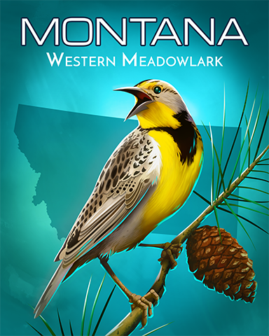 Montana Western Meadowlark Badge - Jet Set Solitaire