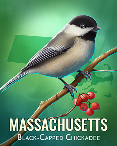 Black-capped Chickadee Badge - Quinn's Aquarium