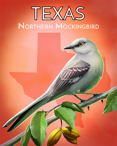 Texas Northern Mockingbird Badge - Poppit! Bingo