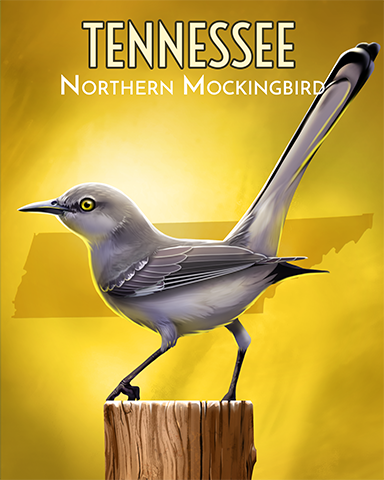 Tennessee Northern Mockingbird Badge - Turbo 21 HD