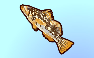 Big Bass Badge - Quinn's Aquarium