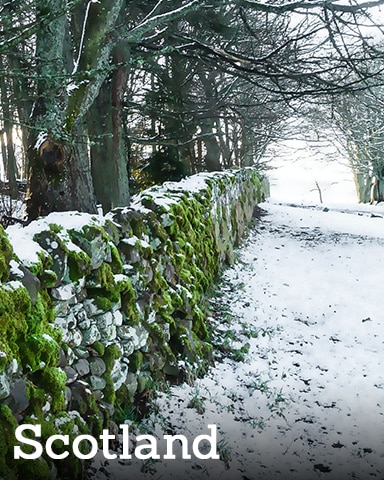 Scotland Badge - Winter Wonderland