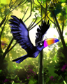 Rainbow Beak Badge - Jungle Gin HD