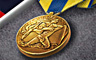 Navy Expeditionary Medal Badge - BATTLESHIP: Naval Combat