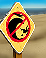 No Wipe Outs Badge - Ride The Tide