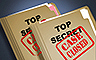 Double Deduction Badge - CLUE Secrets & Spies