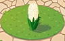 White Hyacinth Badge - Solitaire Gardens