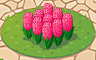 Pink Hyacinths Badge - Solitaire Gardens