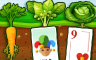 Rank 30 Badge - Solitaire Gardens