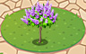 Lilac Plant Badge - Solitaire Gardens