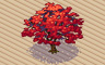 Red Japanese Maple Badge - Solitaire Gardens