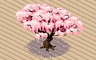 Cherry Blossom Tree Badge - Solitaire Gardens