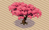 Cherry Blossom Tree (dark) Badge - Solitaire Gardens